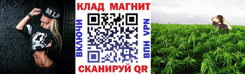 Купить наркотик Новоаннинский Гашиш  АМФЕТАМИН  Псилоцибиновые грибы  Alpha-PVP  Меф  Бошки Шишки  КОКАИН 