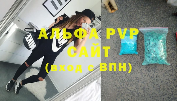 стаф Арсеньев