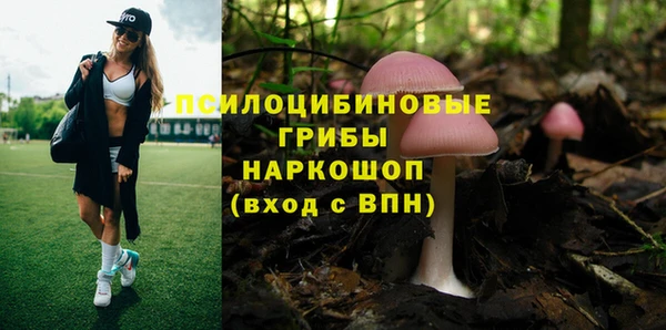 ALPHA PVP Нефтегорск