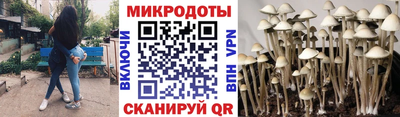 Галлюциногенные грибы GOLDEN TEACHER Новоаннинский